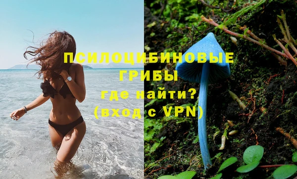 амф Магас