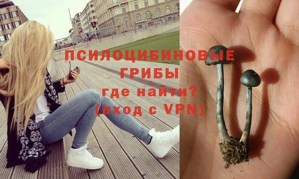 ALPHA-PVP Майский