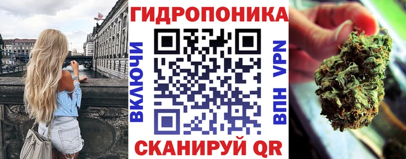 блэк спрут   Ялуторовск  Шишки марихуана планчик 